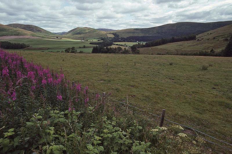 WT 3100 349-22 UK-3.jpg